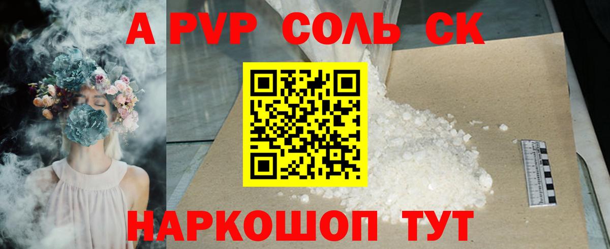 A PVP СК Арзамас