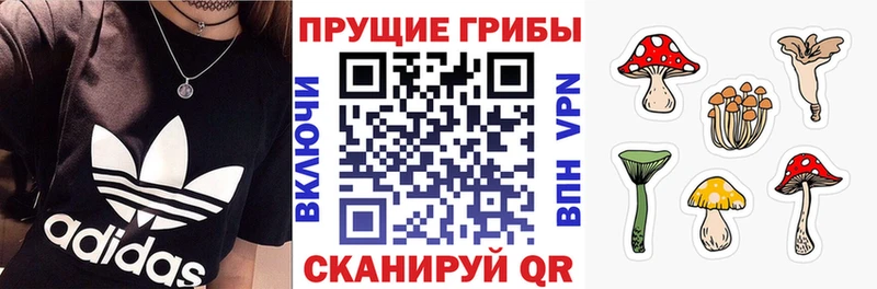 Псилоцибиновые грибы мицелий  где продают наркотики  Арзамас 